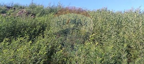 Terreno em Santa Eulália, Portugal 28386 m² N.º 32285 7