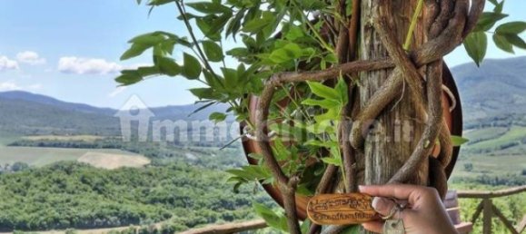 28 bedrooms House in Guardistallo, Italy No. 217042 31