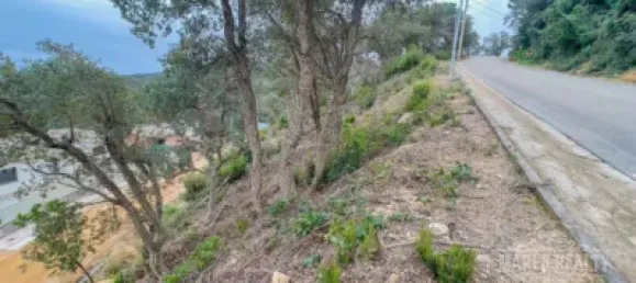 Terreno en Lloret de Mar, Spain No. 190377 5