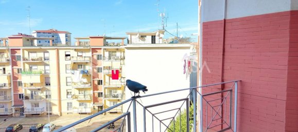 3-Zimmer Wohnung in Bari, Italy, Nr. 29083 8