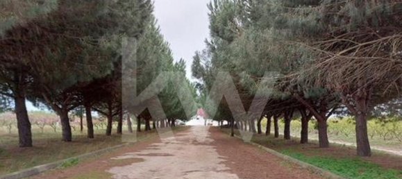 2 bedrooms Castles in Palmela, Portugal No. 67839 25