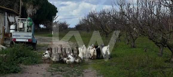 2 bedrooms Castles in Palmela, Portugal No. 67839 30