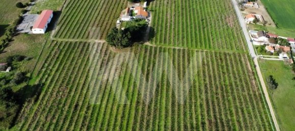 2 bedrooms Castles in Palmela, Portugal No. 67839 4