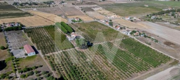 2 bedrooms Castles in Palmela, Portugal No. 67839 5