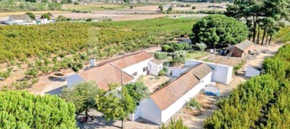 2 bedrooms Castles in Palmela, Portugal No. 67839 33