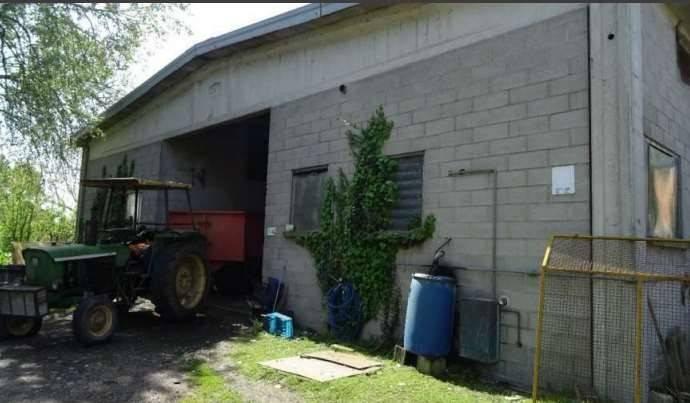 Estudio en Polesine Zibello, Italy No. 305606