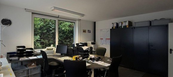  مستودع في Breisgau-Hochschwarzwald, Germany 573متر مربع رقم 219091 9