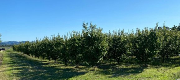 10-Zimmer Haus in Cesena, Italy, Nr. 253138 2