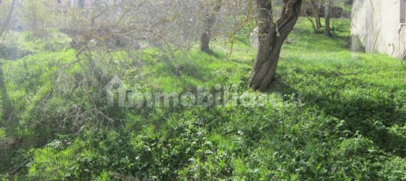 4 chambres Maison à Castiglione Messer Marino, Italy No. 354073 21