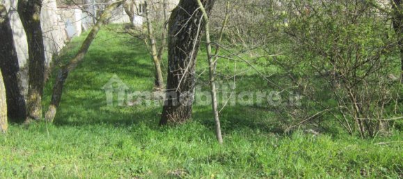 4 chambres Maison à Castiglione Messer Marino, Italy No. 354073 22