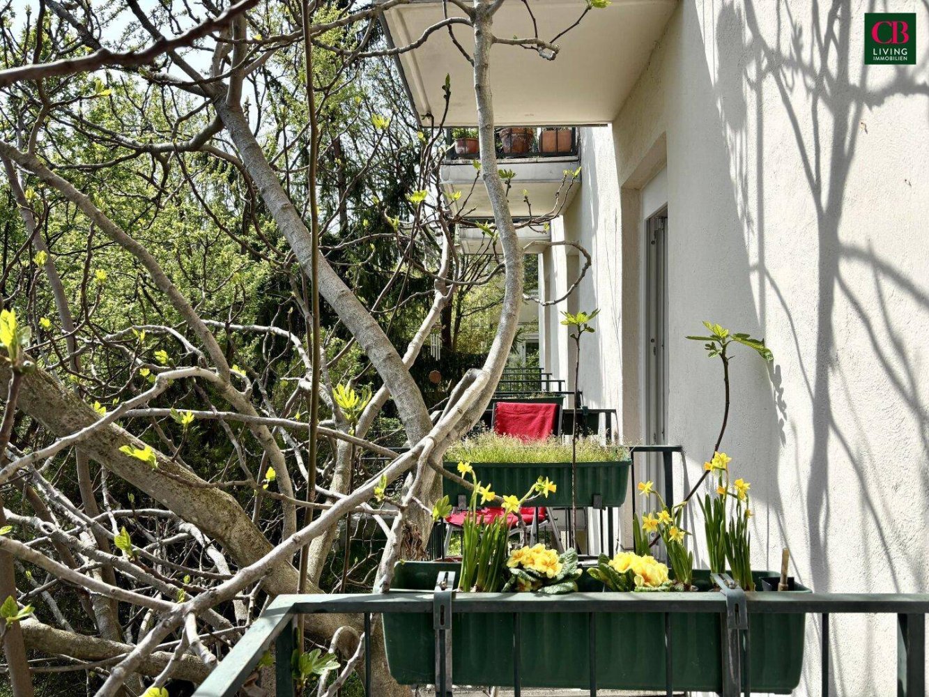 4غرفة شقة في Wahring, Austria رقم 155697