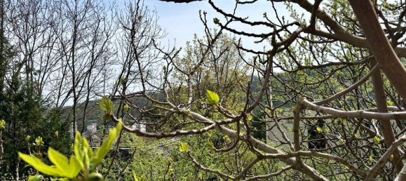 4غرفة شقة في Wahring, Austria رقم 155697 12