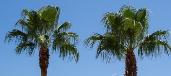 4 Schlafzimmer Villa in Faro, Portugal, Nr. 199131 33