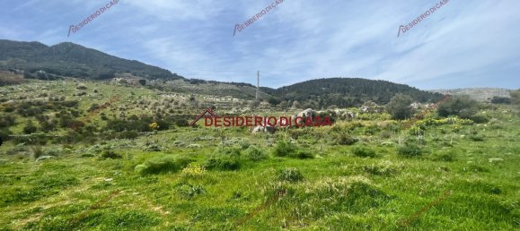 Grundstück in Monreale, Italy 22000m², Nr. 72346 6