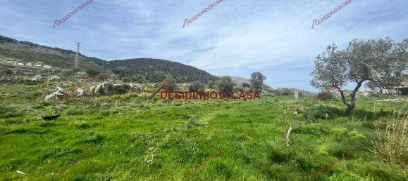 Grundstück in Monreale, Italy 22000m², Nr. 72346 8