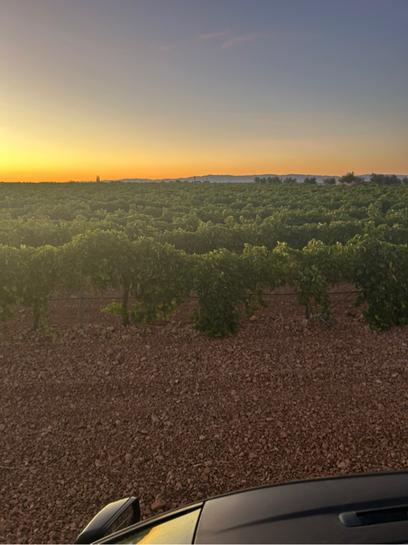  قطعة أرض في Ciudad Real, Spain 25متر مربع رقم 259867