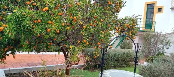 Studio in Evora, Portugal, Nr. 25263 6