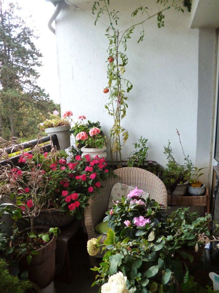 Квартира с 1 спальней в Крефельд, Германия № 41436