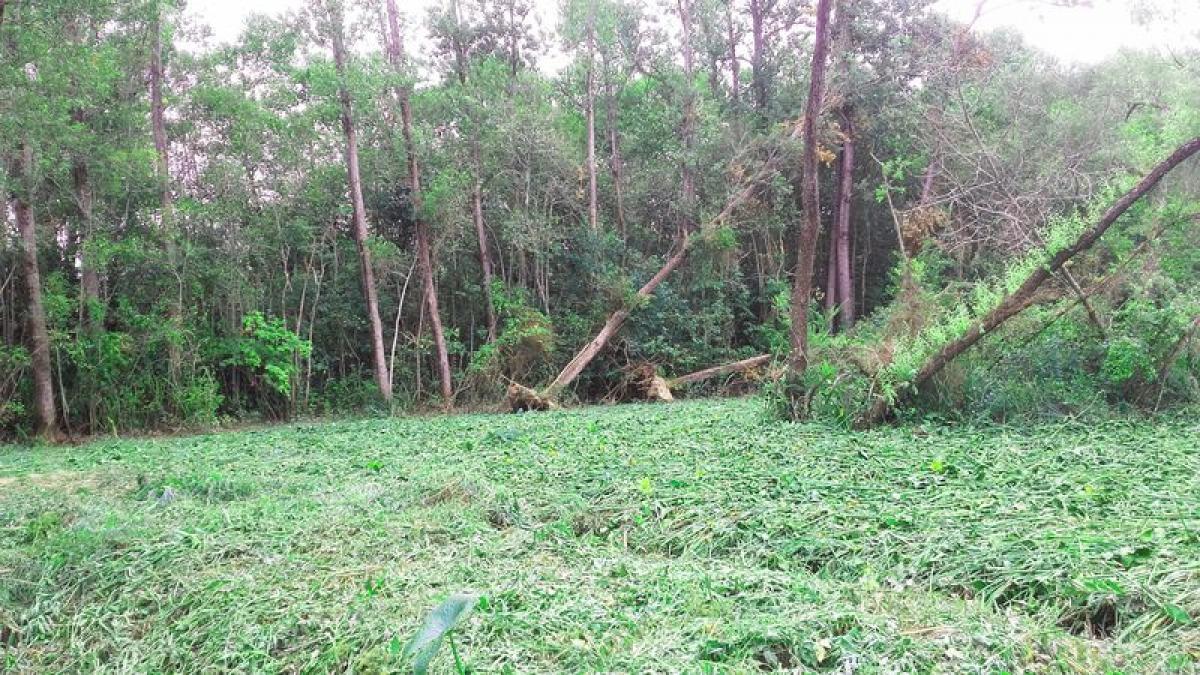  Land in Tigre, Argentina No. 117239