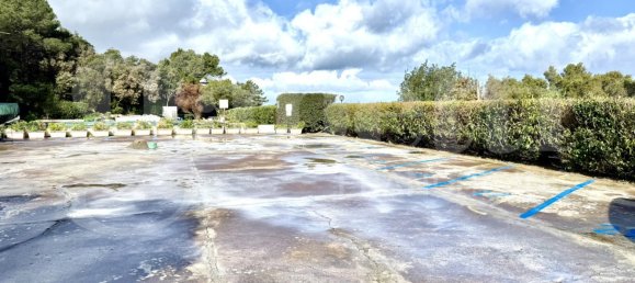 2 bedrooms Apartment in Marciana, Italy No. 55026 14