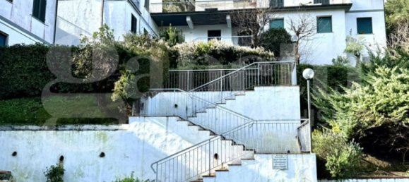 2 bedrooms Apartment in Marciana, Italy No. 55026 15