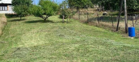 2 rooms Land in Ilm-Kreis, Germany No. 21486 2