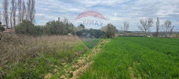 1050m² Land in Cappelle sul Tavo, Italy No. 257674 4
