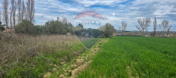 1050m² Land in Cappelle sul Tavo, Italy No. 257674 20