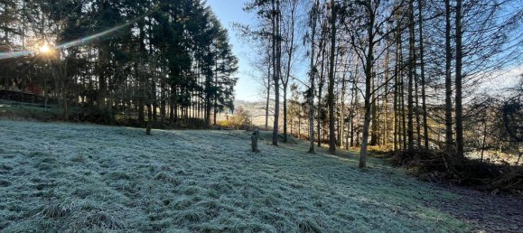  Land in Neunkirchen, Germany No. 33557 7