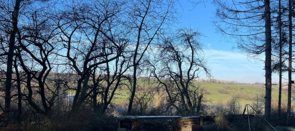  Land in Neunkirchen, Germany No. 33557 5