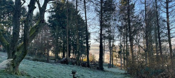  Land in Neunkirchen, Germany No. 33557 6