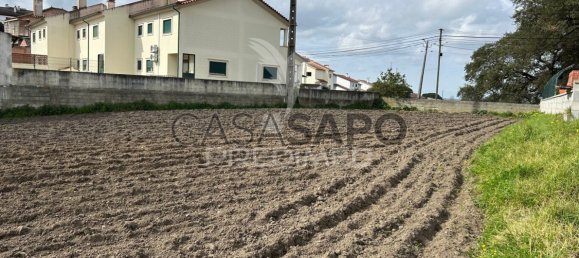Terrain à Quarteira, Portugal No. 190598 8