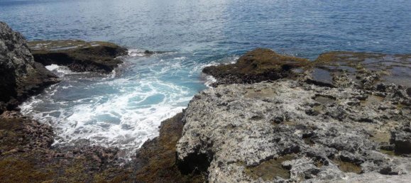 24195m² Land in Port-Vila, Vanuatu No. 134 8