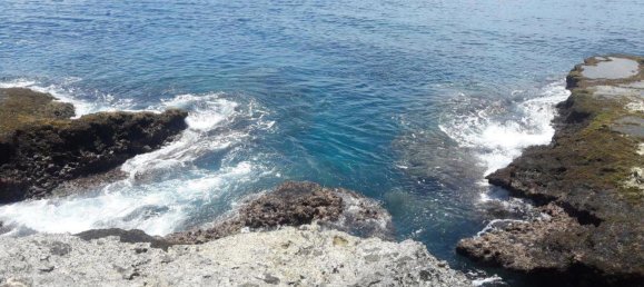 24195m² Land in Port-Vila, Vanuatu No. 134 2