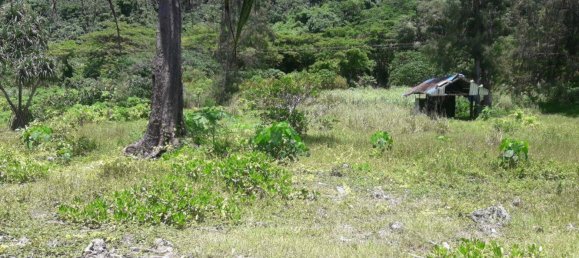 24195m² Land in Port-Vila, Vanuatu No. 134 6