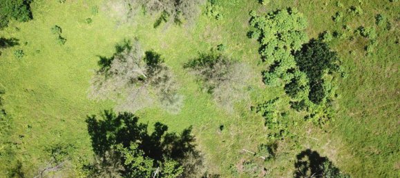 24195m² Land in Port-Vila, Vanuatu No. 134 5