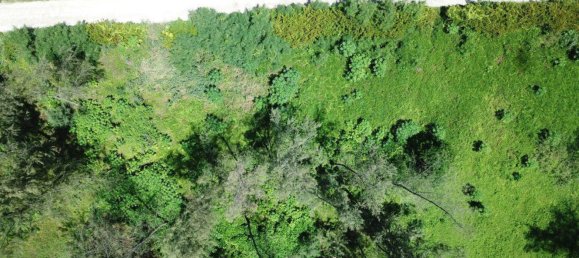 24195m² Land in Port-Vila, Vanuatu No. 134 3