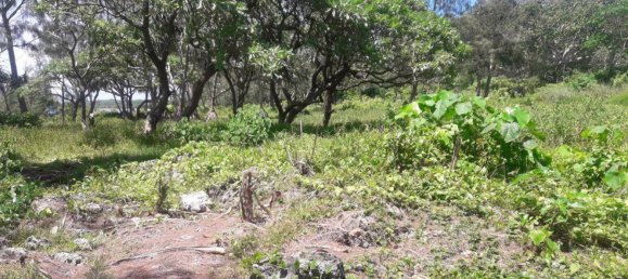 24195m² Land in Port-Vila, Vanuatu No. 134 7