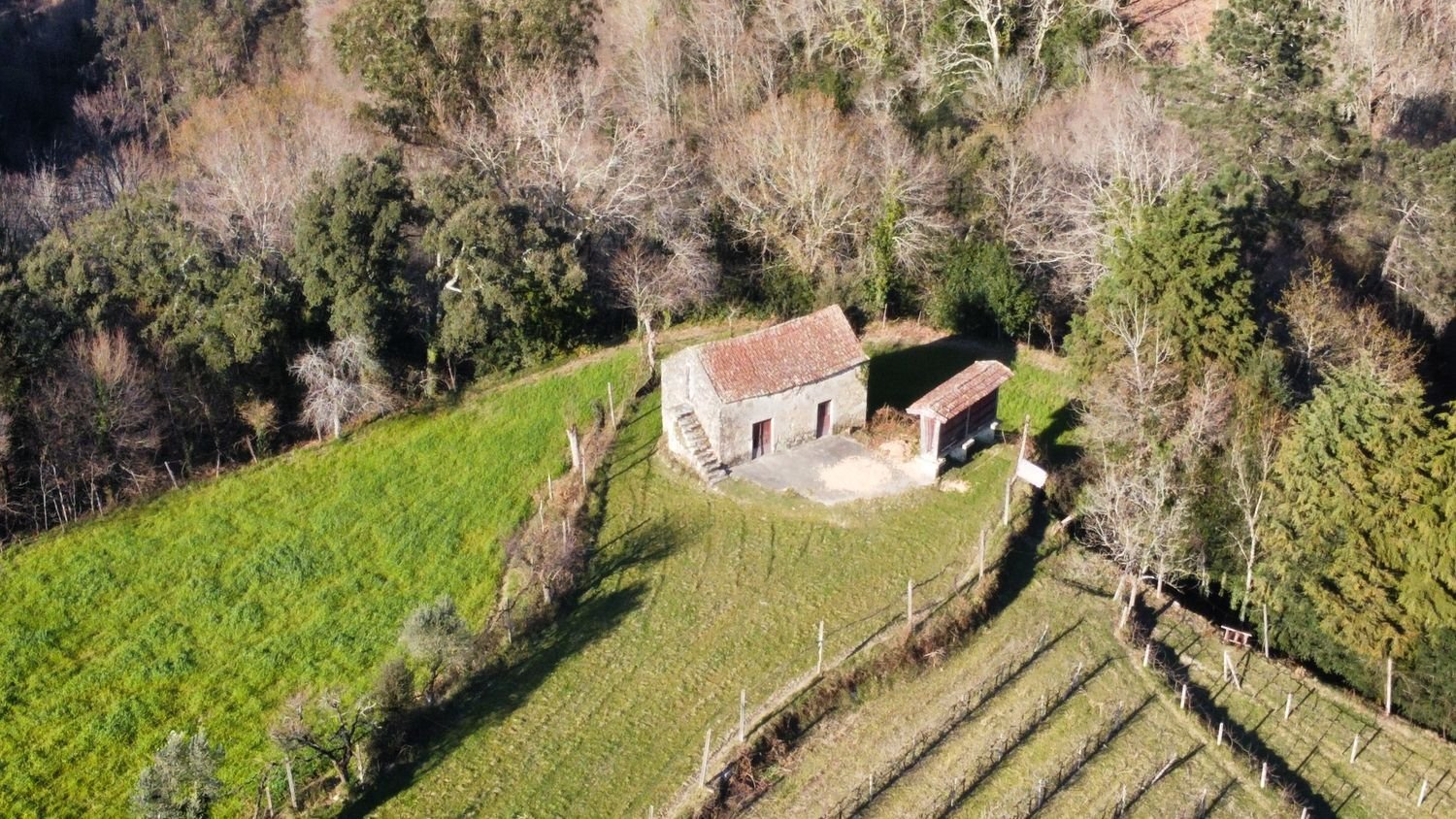  Land in Oliveira de Frades, Portugal No. 296624