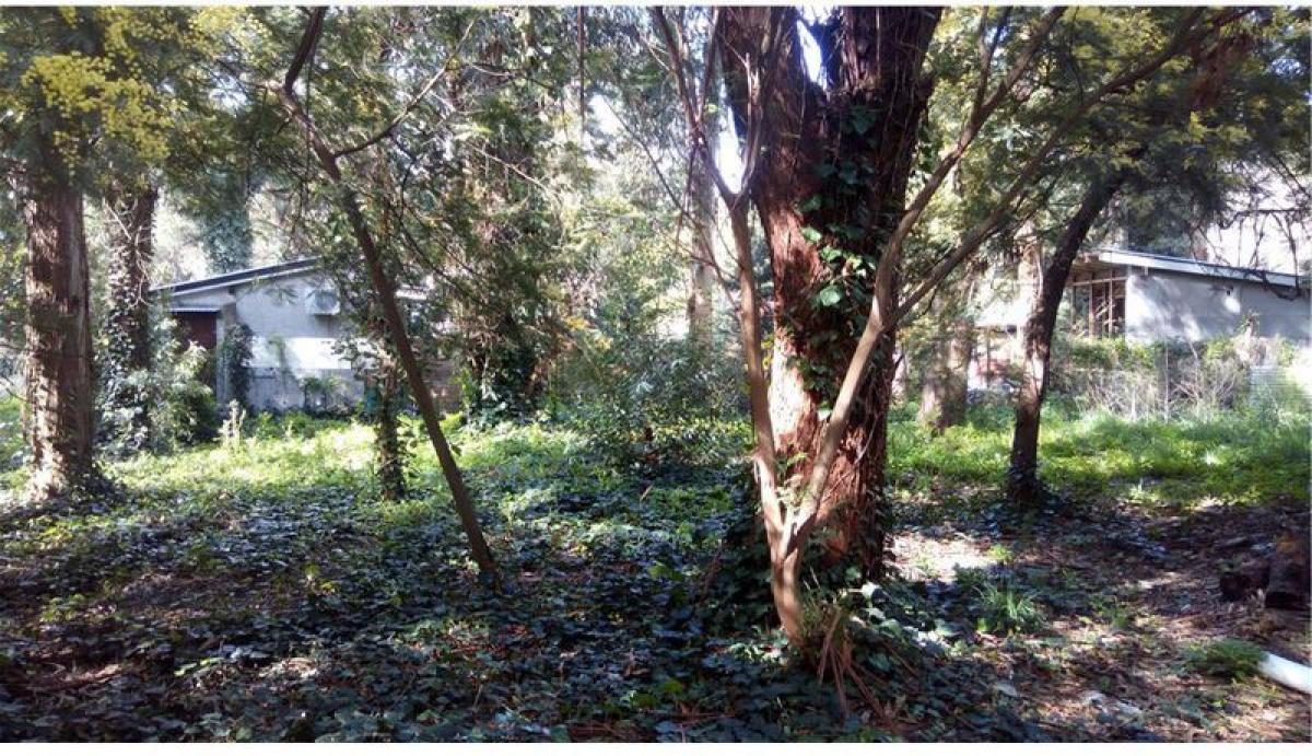  قطعة أرض في Mar del Plata, Argentina رقم 112987