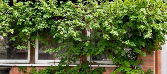 2 غرف نوم بنغالو في Oberhavel, Germany رقم 113223 2