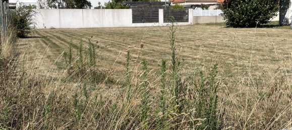  قطعة أرض في Talmont-Saint-Hilaire, France رقم 283692 3