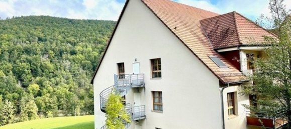 1 غرف نوم شقة في Ammerschwihr, France رقم 253330 15