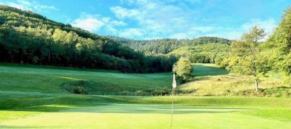 1 غرف نوم شقة في Ammerschwihr, France رقم 253330 16