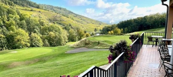 1 غرف نوم شقة في Ammerschwihr, France رقم 253330 13