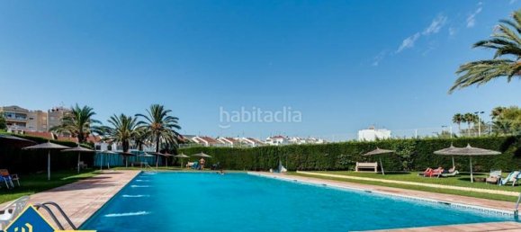 1 chambre Appartement à Torrevieja, Spain No. 167290 10