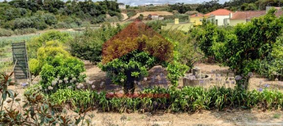 Дом с 6 спальнями в Atouguia da Baleia, Португалия № 141614 14