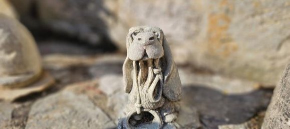 6 bedrooms House in Lozere, France No. 303143 4