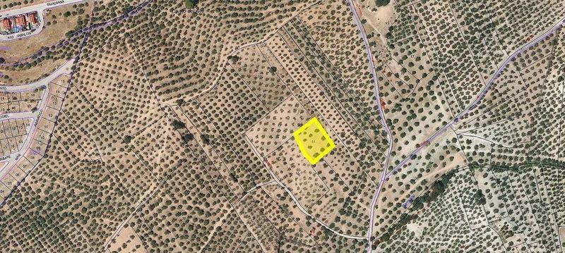 Grundstück in Peligros, Spain 1998m², Nr. 222391