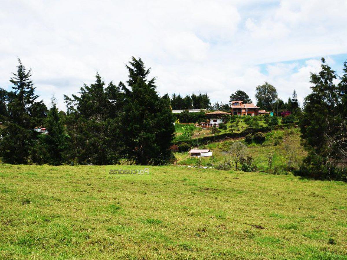 Земельный участок в Антьокия, Колумбия № 458